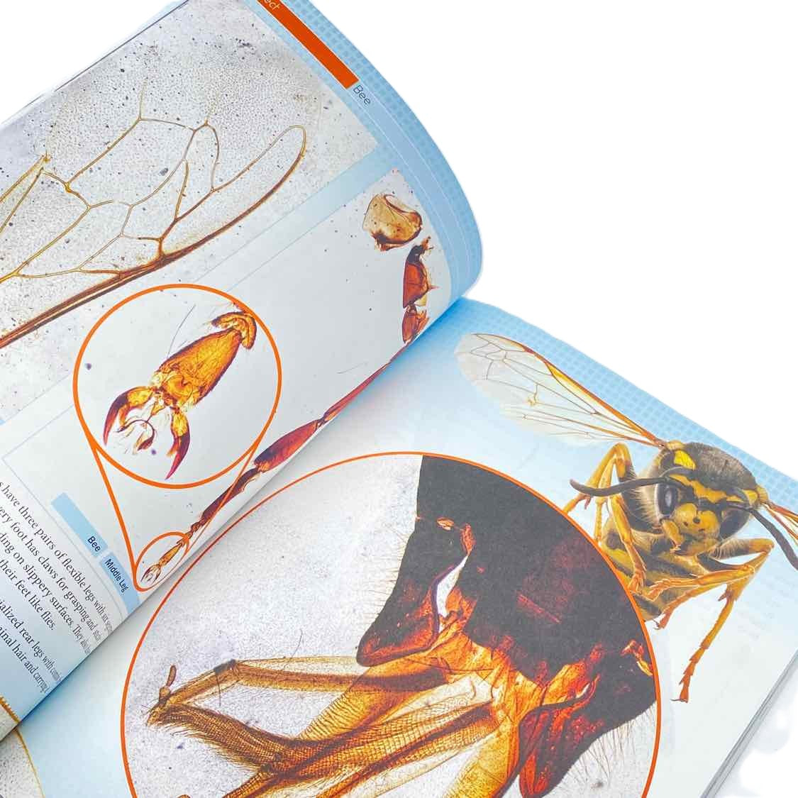 Biology Through a Microscope (some cover wear)