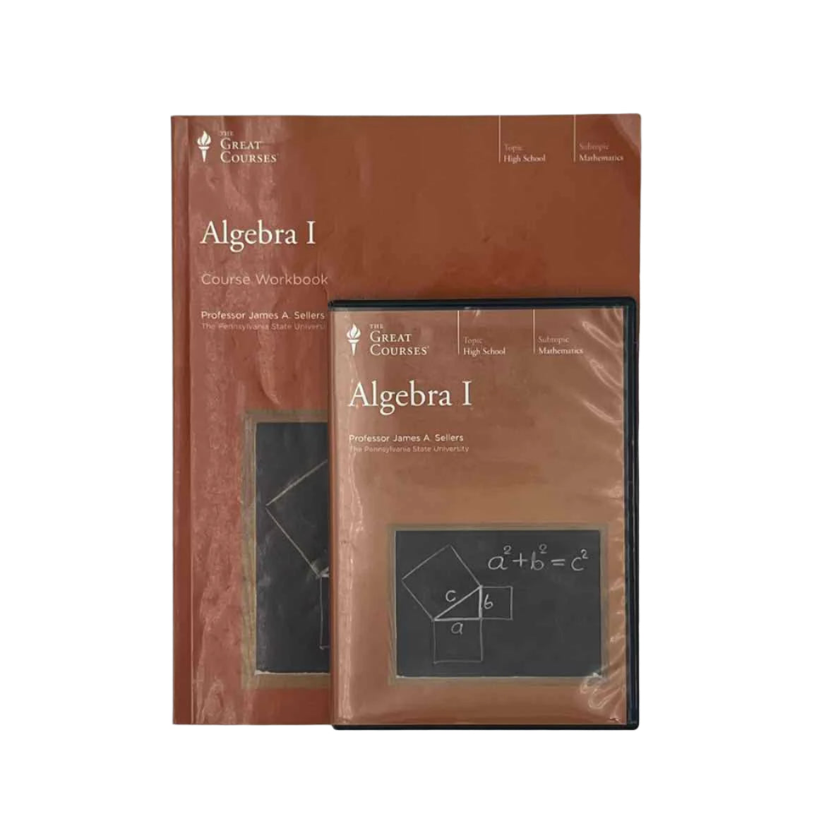 The Great Courses Highschool DVD Professor James A. Sellers Math Curriculum
