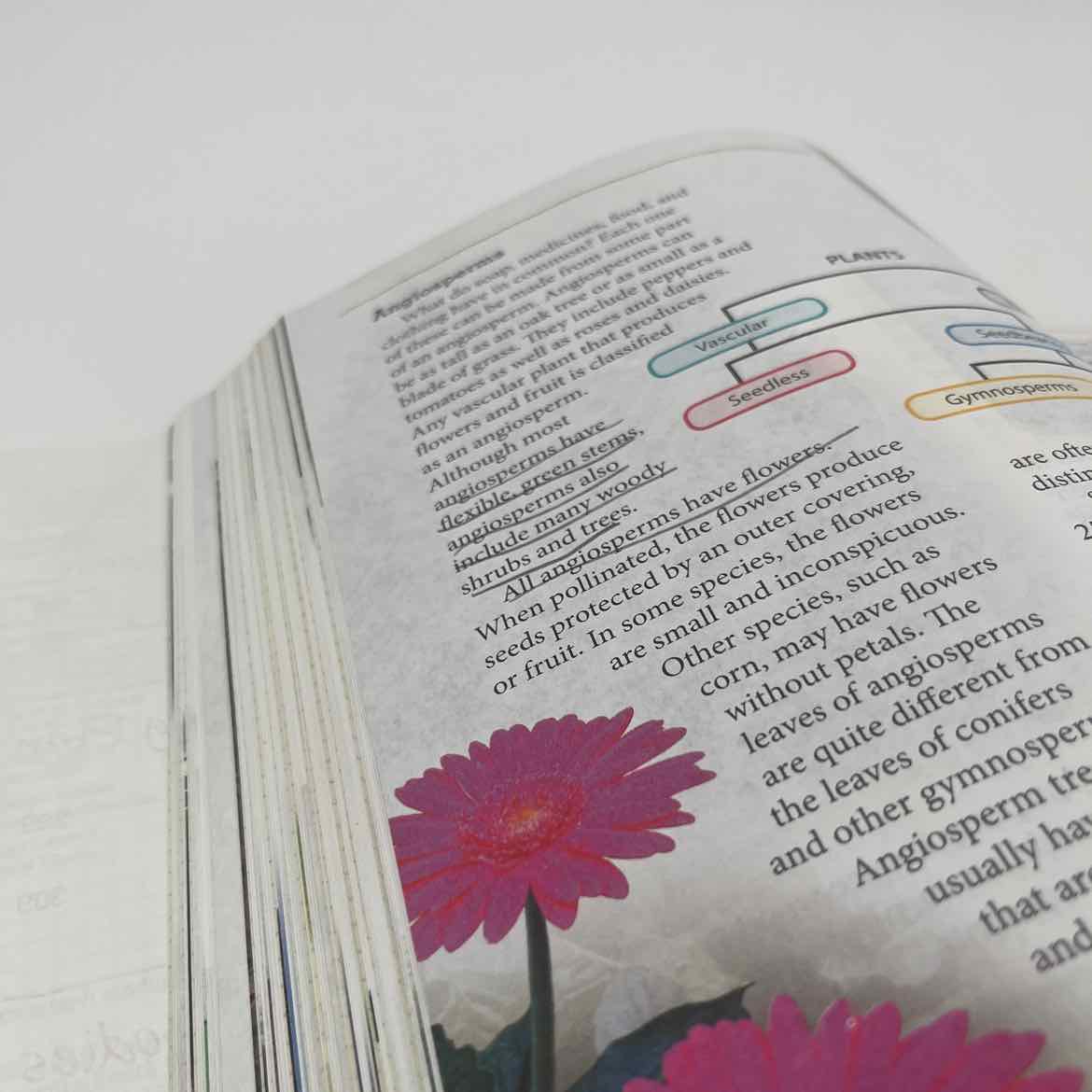 Bob Jones Science 6 Student Book (rare underlining)