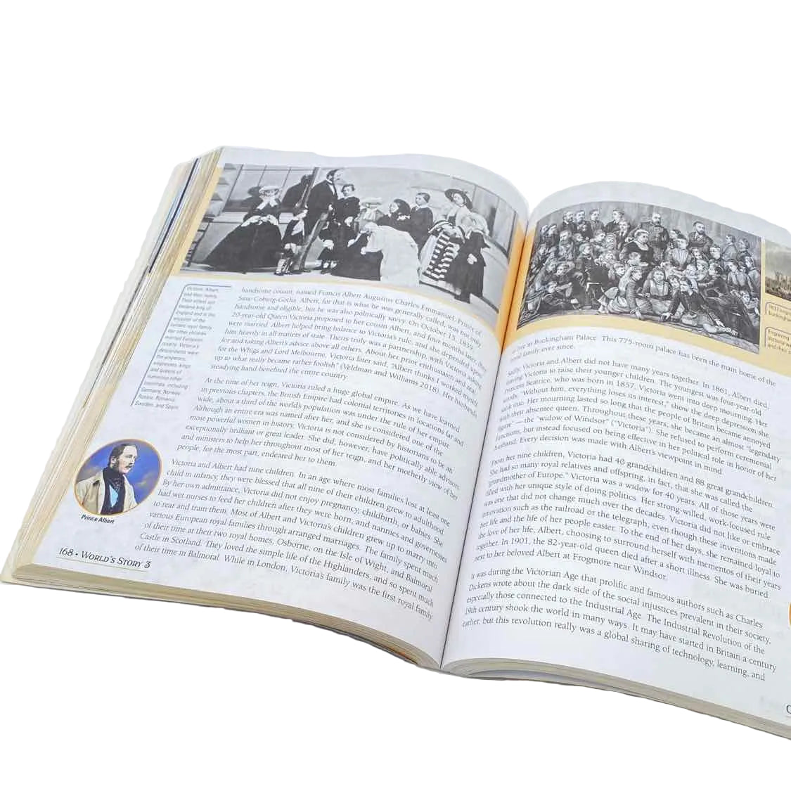 The World's Story 3 - The Modern Age Student Book (some cover wear)
