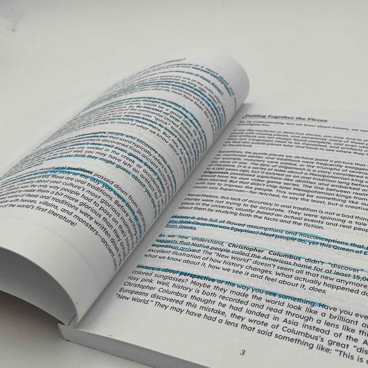 The Insightful Scholar Ancient Civilizations of the World: Mesopotamia, Egypt, Greece, & Rome Reader (some highlighting)