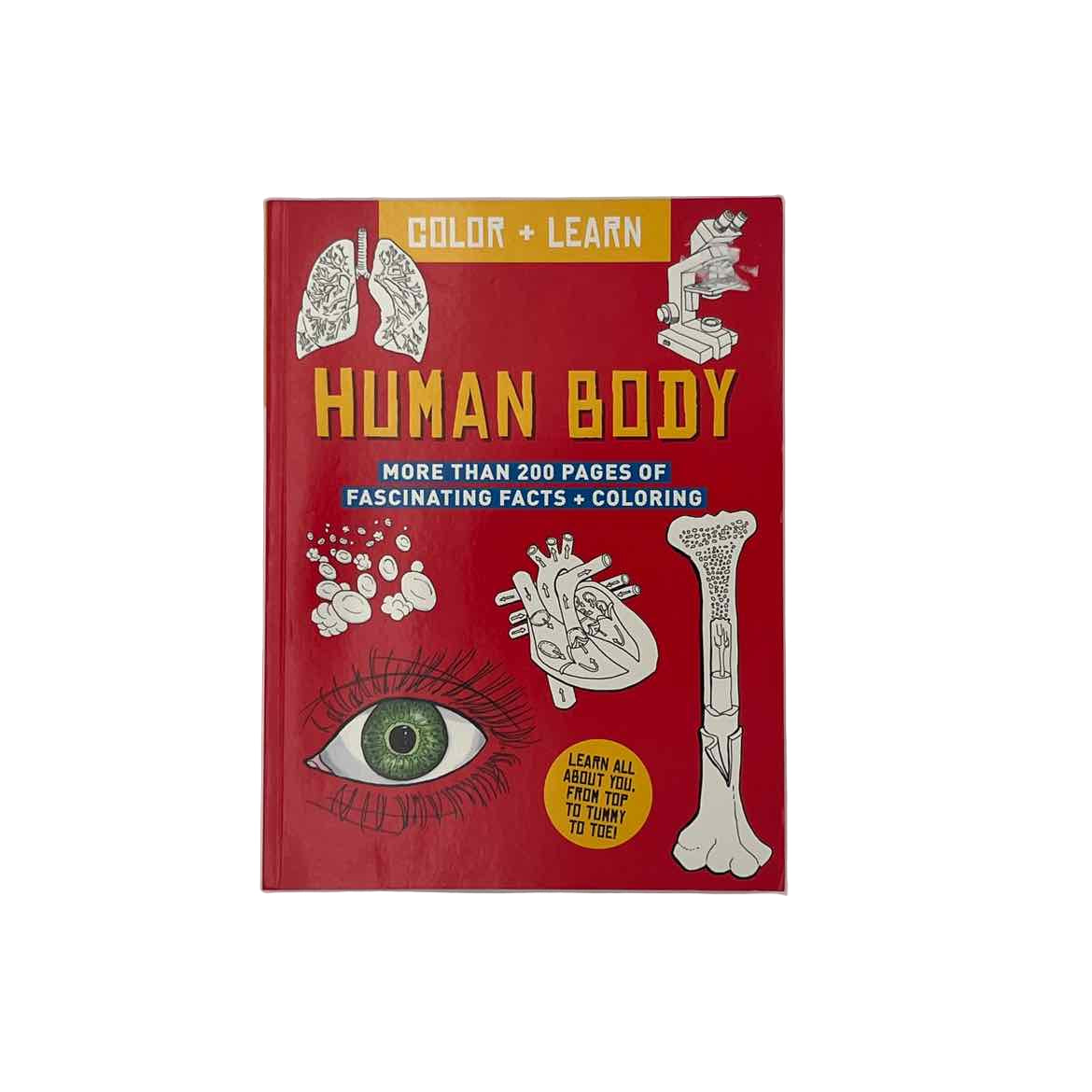 Color & Learn Human Body