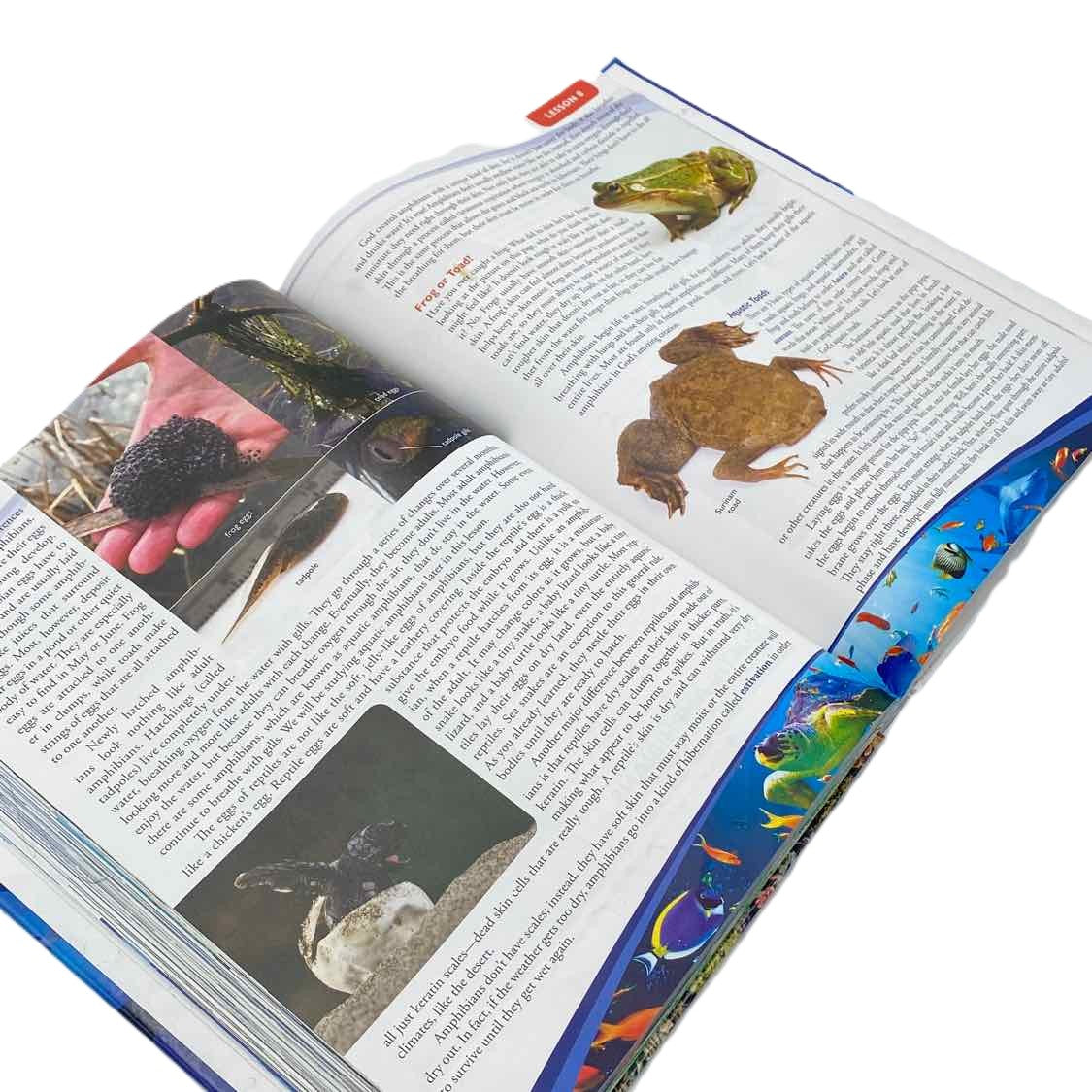 Apologia K-6th Grade Exploring Creation w/Zoology 2 - Swimming Creatures Student Book 2nd Ed. Jeannie Fulbright Science Curriculum