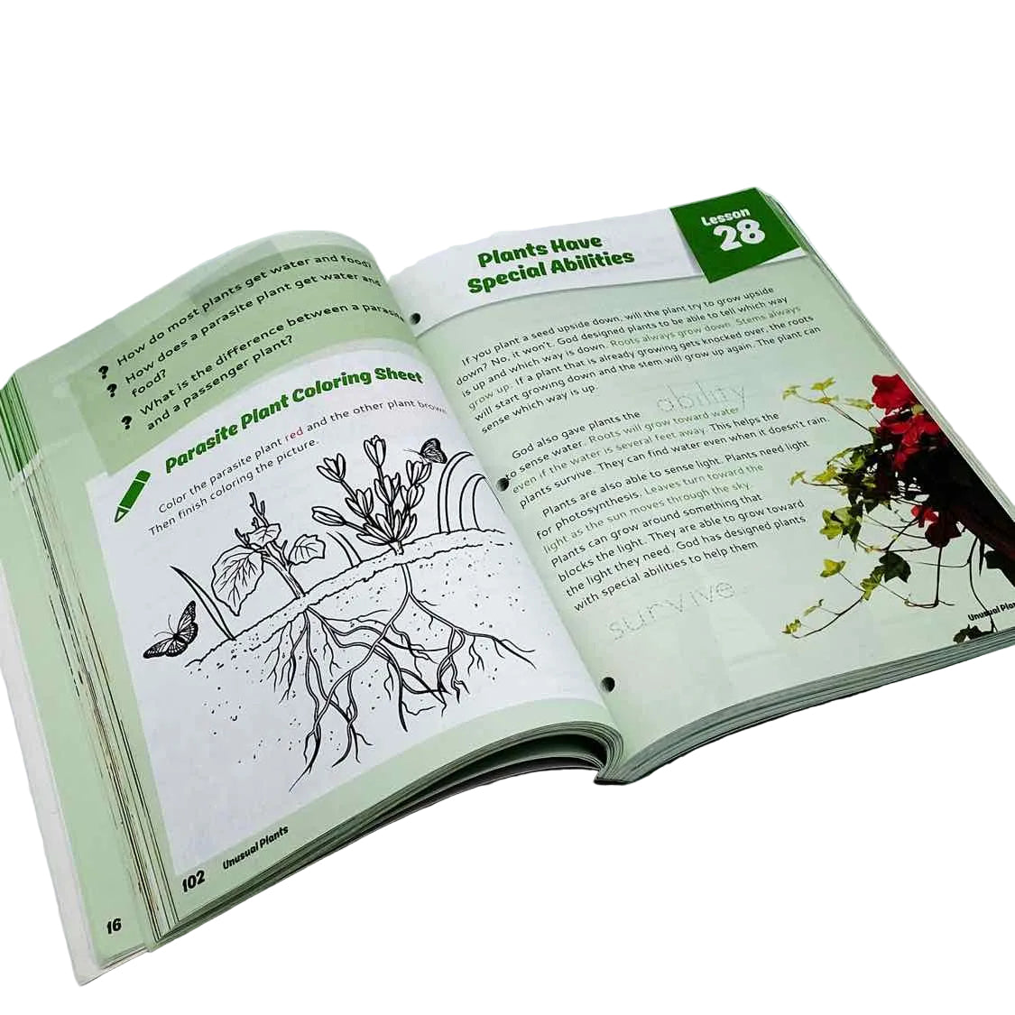 MasterBooks God's Design for Life: For Beginners Science Curriculum