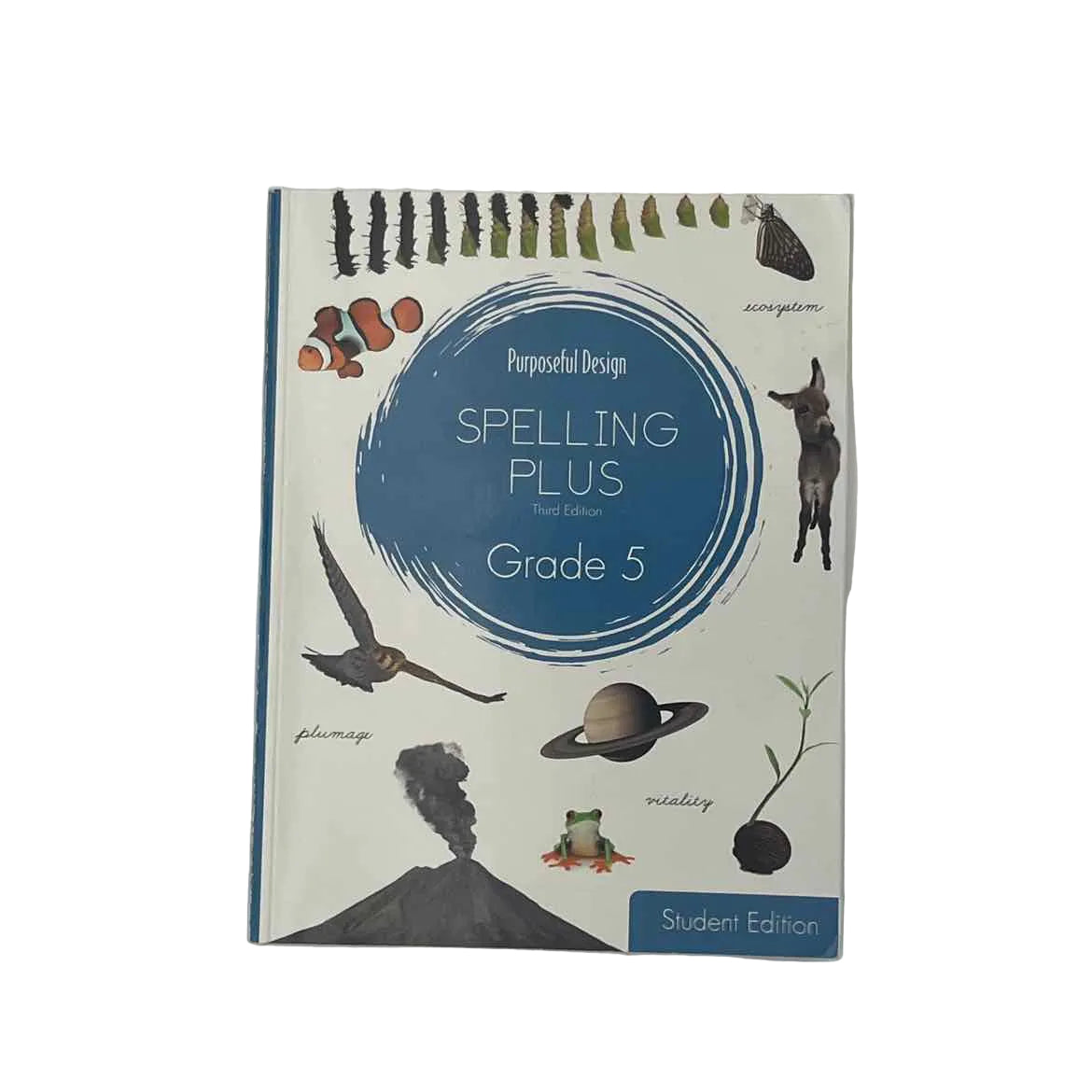 Purposeful Design Spelling Plus Grade 5 Student Book