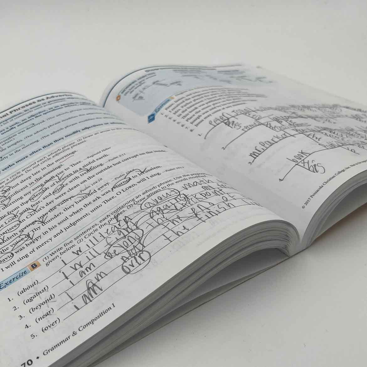 A Beka Grammar and Composition I Work Text (marking Throughout)