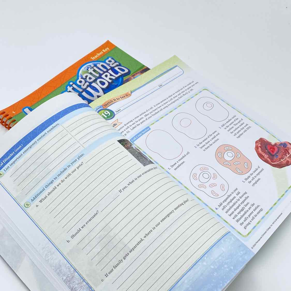 A Beka 5th Grade Investigating God's World STEM Activities & Key Partial Set 5th Ed. Science Curriculum