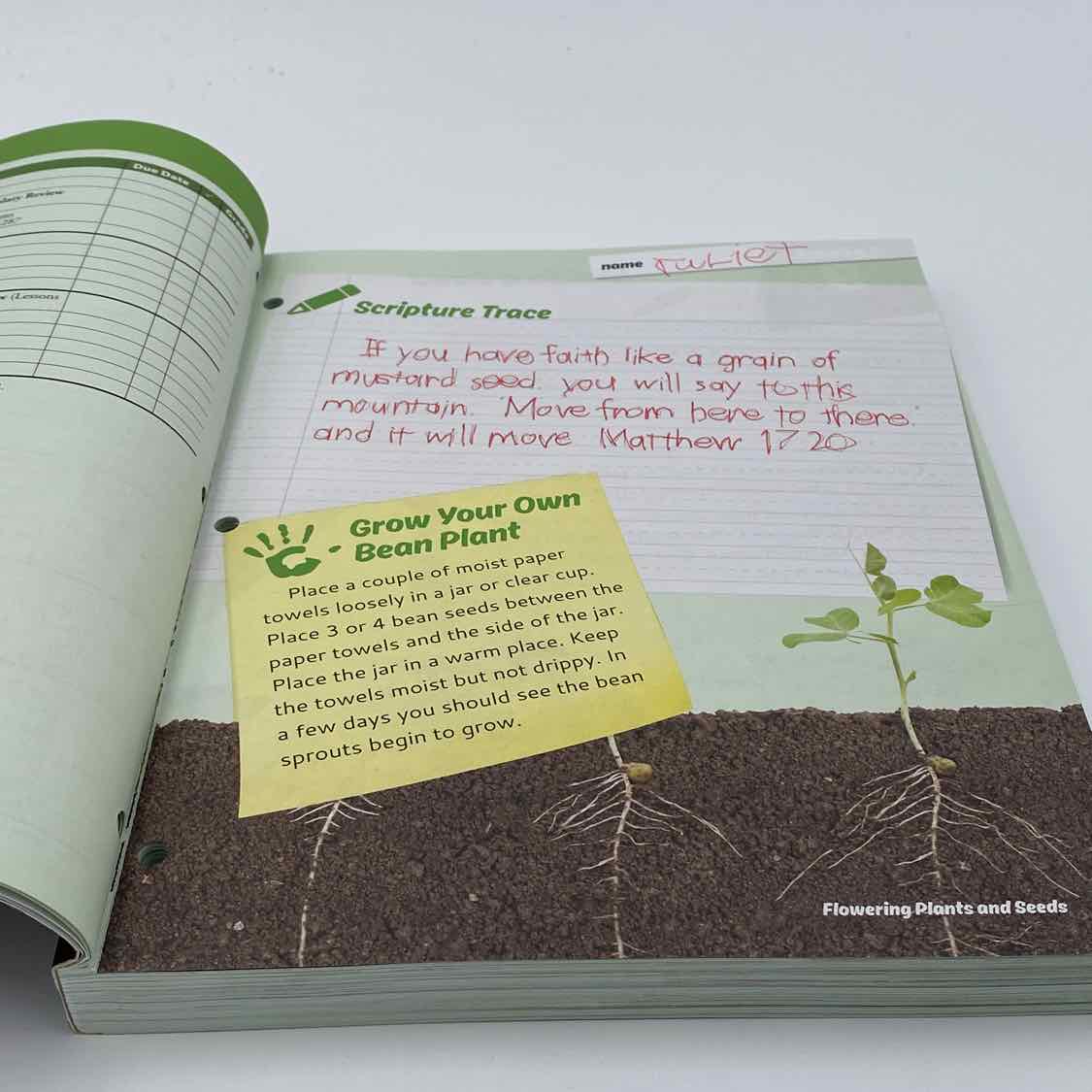 MasterBooks Science Curriculum
