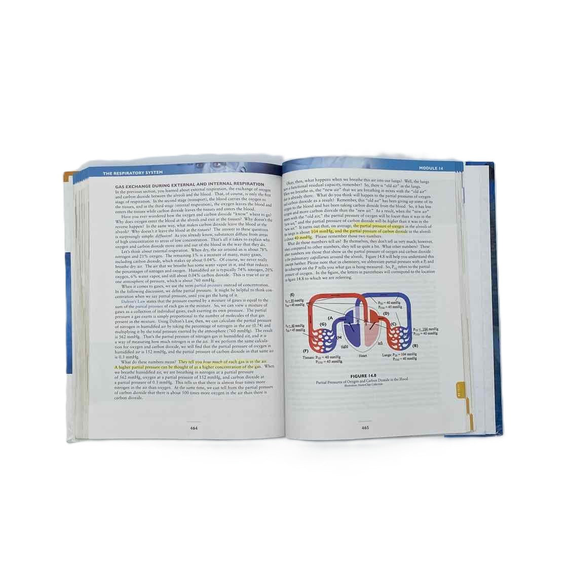 Apologia Highschool Textbook 2nd Ed. Exploring Creation w/Advanced Biology Text (some highlighting)