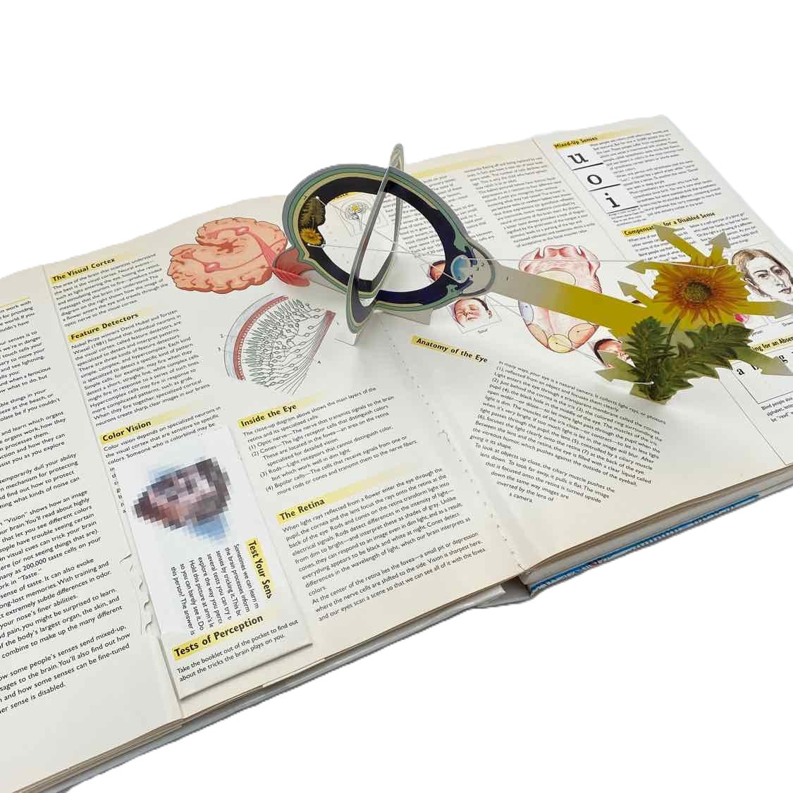 Resource Book Ron Van der Meer Science Curriculum The Brain Pack
